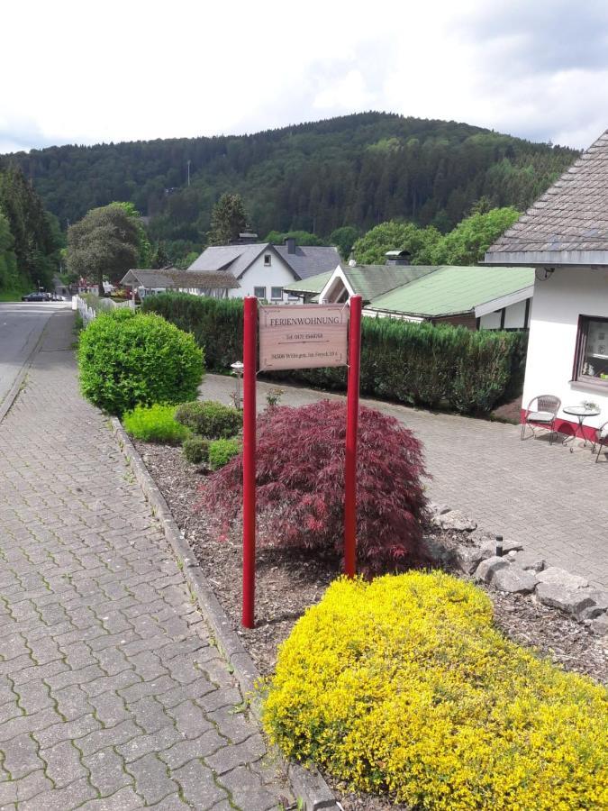 Ferienwohnung Stremme Willingen  Kültér fotó