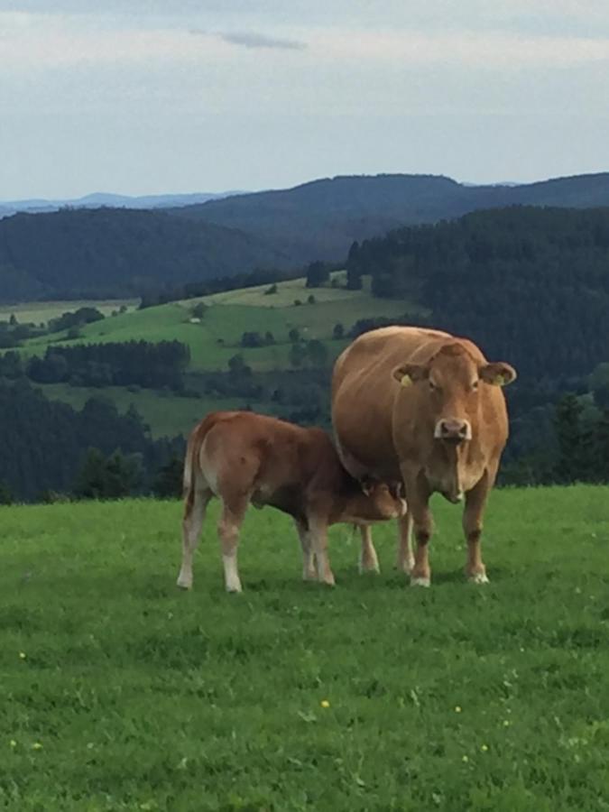 Ferienwohnung Stremme Willingen  Kültér fotó